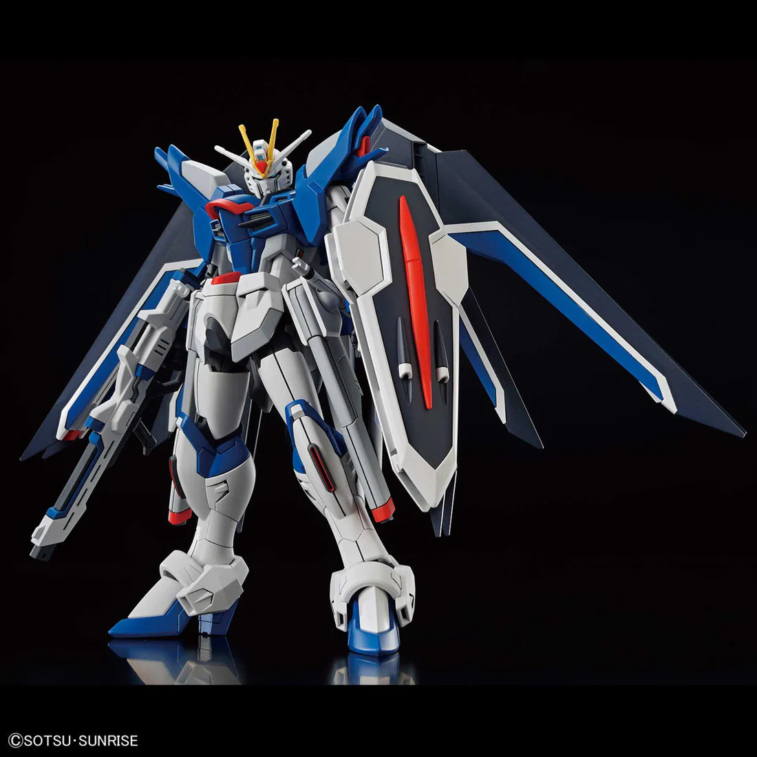 Mobile Suit Gundam SEED HG Rising Freedom Gundam